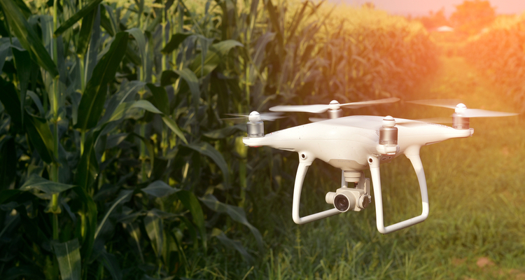 Waterschap Vechtstromen zet drones in voor controle pesticidengebruik